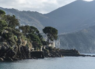 Ile kosztuje Plejak? Ile kosztuje Plejak?