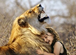 Czy gry z Game Pass są na zawsze? Czy gry z Game Pass są na zawsze?