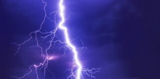 Czym się rożni komórka od telefonu?