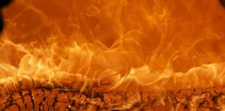 Jaka jest najlepsza marka telefonu?