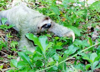 Ile będzie kosztować PS5 Slim? Ile będzie kosztować PS5 Slim?