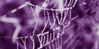 Jak sprawdzić czy telefon jest oryginalny iPhone?