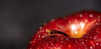 Czy warto przejść z Androida na iphona?