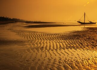 Czy Sony produkuje PS4?