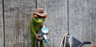 Jaki abonament dla seniora?