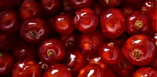 Kiedy najlepiej kupić telefon komórkowy?