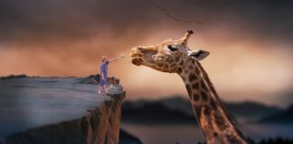 Czy da się żyć bez usług Google?