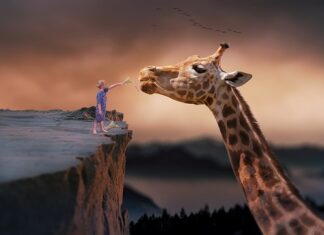 Czy da się żyć bez usług Google? Czy da się żyć bez usług Google?