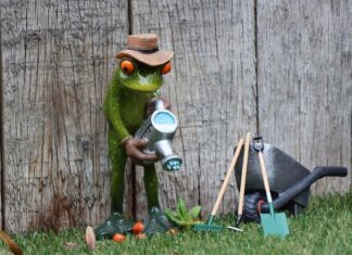 Jaki abonament bez telefonu 2023? Jaki abonament bez telefonu 2023?