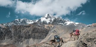 Jaka jest najnowsza konsola Xbox?