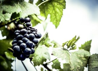 Jaki lokalizator GPS do motocykla? Jaki lokalizator GPS do motocykla?