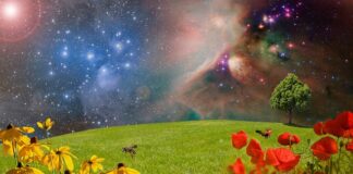 Czy po zdjęciu głowicy trzeba ją planować?