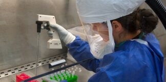 Czy H7 pasuje do H4?