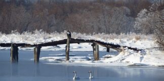 Jaki przekrój przewodu do 12V?