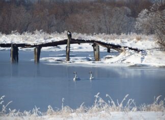 Jaki przekrój przewodu do 12V? Jaki przekrój przewodu do 12V?