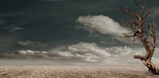 Jak sprawdzić czy blok jest pęknięty?