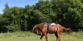 Jak zamontować dodatkowe gniazdo zapalniczki?