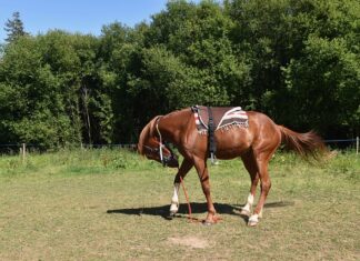 Jak zamontować dodatkowe gniazdo zapalniczki? Jak zamontować dodatkowe gniazdo zapalniczki?