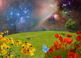 Czy po każdym zdjęciu głowicy trzeba ją planować? Czy po każdym zdjęciu głowicy trzeba ją planować?