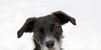 Jak odkręcić kurek od wody?