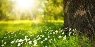 Jakie światło lepsze ciepłe czy zimne dla oczu?