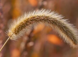Jak naprawić głowice?