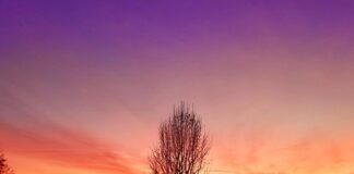 Na co zwrócić uwagę przy kupnie motoru?