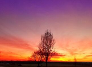 Na co zwrócić uwagę przy kupnie motoru? Na co zwrócić uwagę przy kupnie motoru?