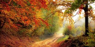 Od którego roku nowy czynnik klimatyzacji?