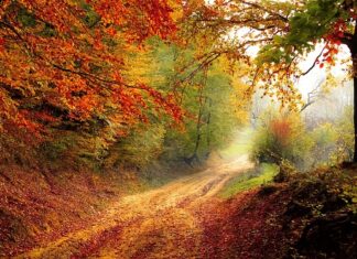 Od którego roku nowy czynnik klimatyzacji?