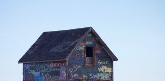 Dlaczego w gniazdku jest 230V?