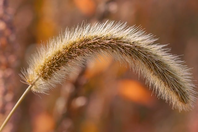 Czy głowice do baterii są uniwersalne? Czy głowice do baterii są uniwersalne?