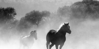 Jak dobrze palić papierosy?