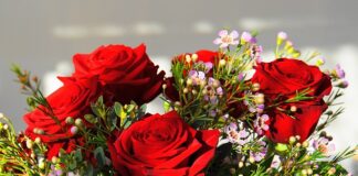 Ile kosztuje najdroższy samochód Ferrari?